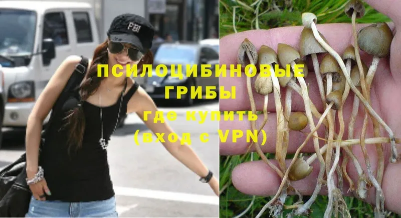 Псилоцибиновые грибы Magic Shrooms  Валуйки 